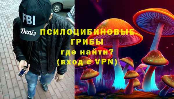 МДПВ Алзамай